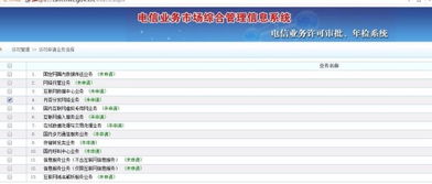 理解ICP經營性許可證中的互聯網信息服務選項